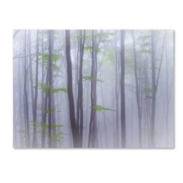 Michel Manzoni 'Misty' Canvas Art, 24x32, Trademark Fine Art, Mfr#: 1X02657-C2432GG